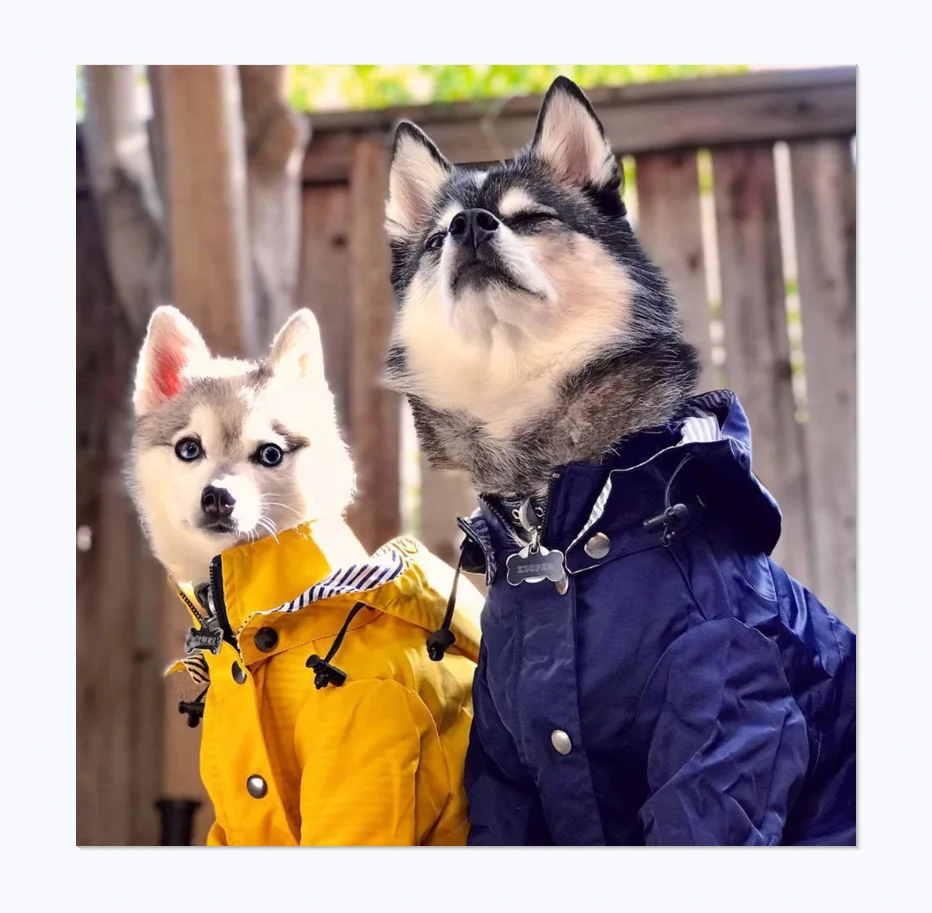 

Trend Brand Designer Fashion British Windproof Waterproof Good Quality Material Big Dog Raincoat Pet Jacket
