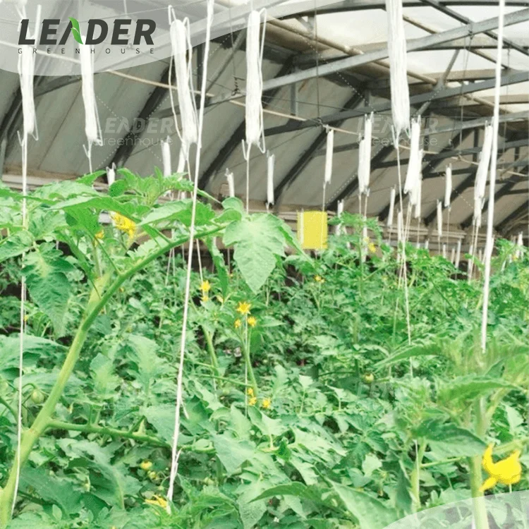 Hydroponics Accessories Tomato Hook With Twine For Growing Buy