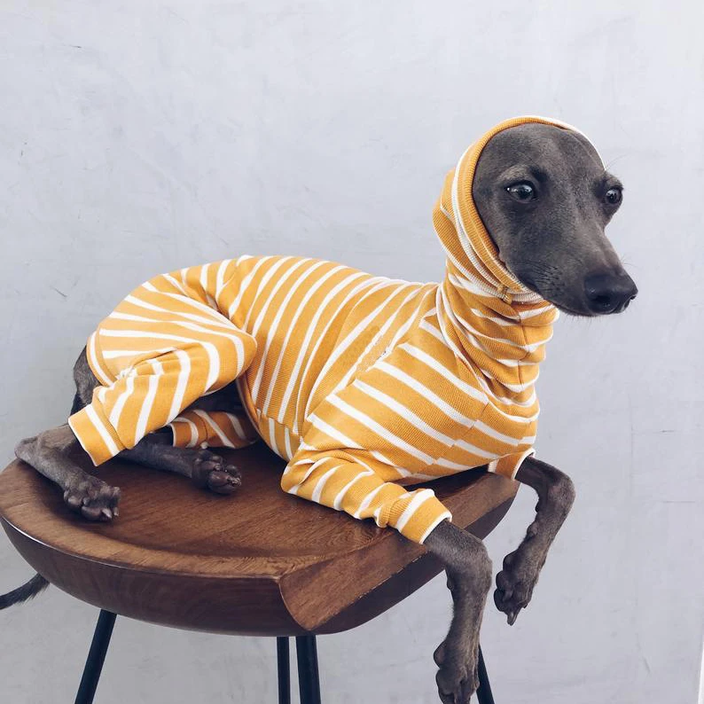

Dog Fleece Jumpers Sweaters and Dog Pyjamas various sizes to fit Whippets, Greyhounds, Italian Greyhounds and Lurchers., Customized color
