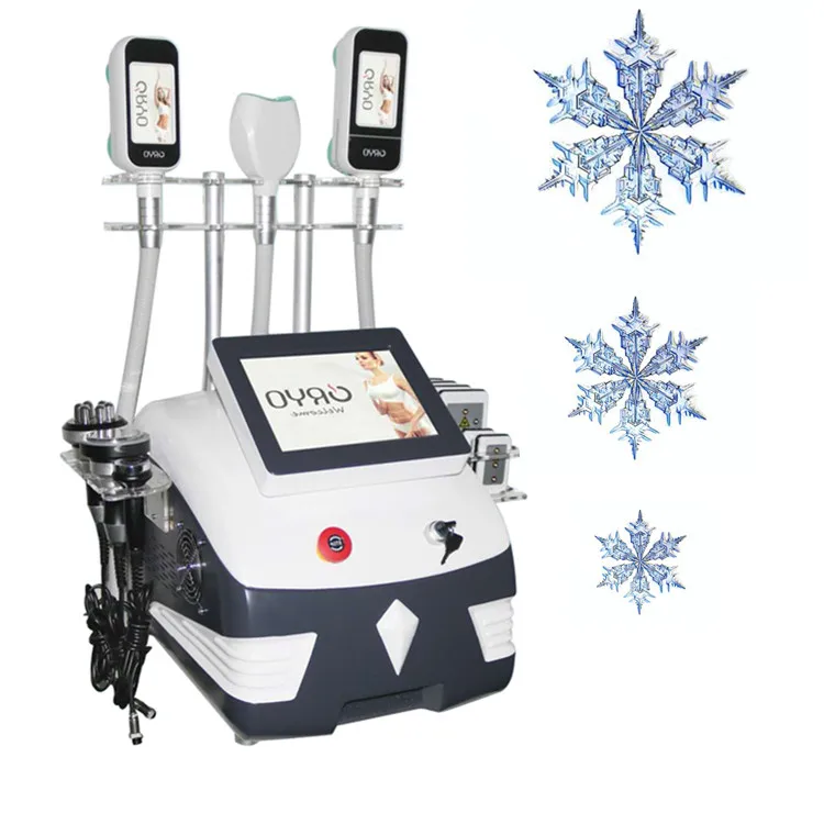 

cryo 360 freezing cellulite removal coolsculption cryolipolysis machine