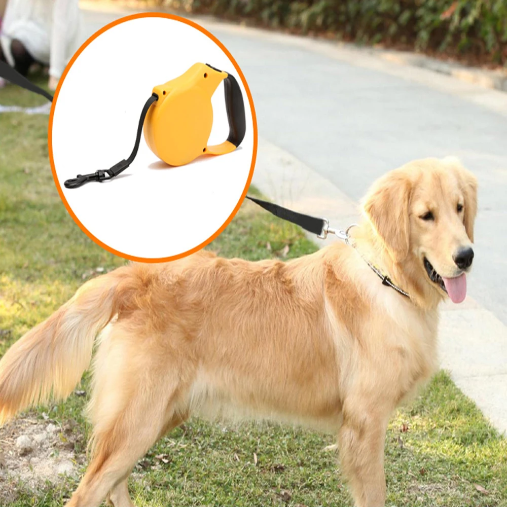 multi dog leash