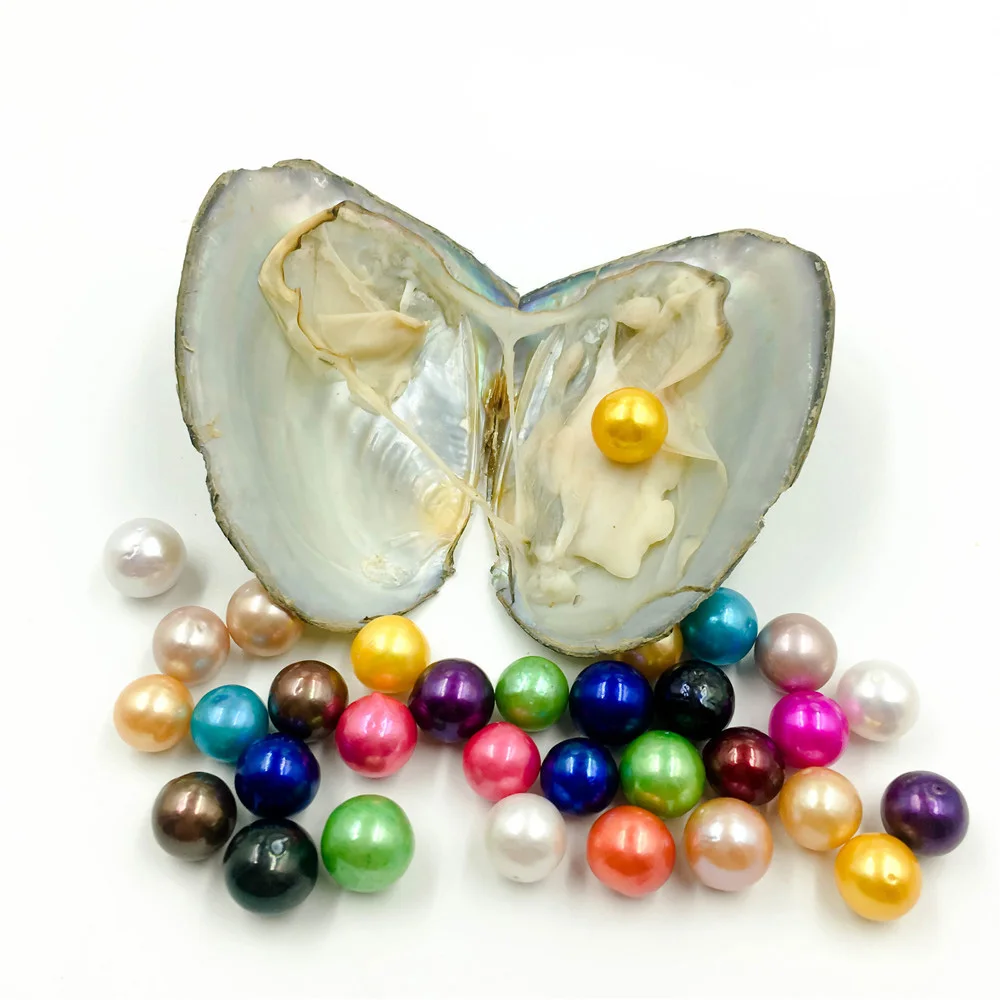 

2021 giant 9-12mm Colored Edison big large giant round grade high quality pearls natural pearls in oyster with vacuum packing