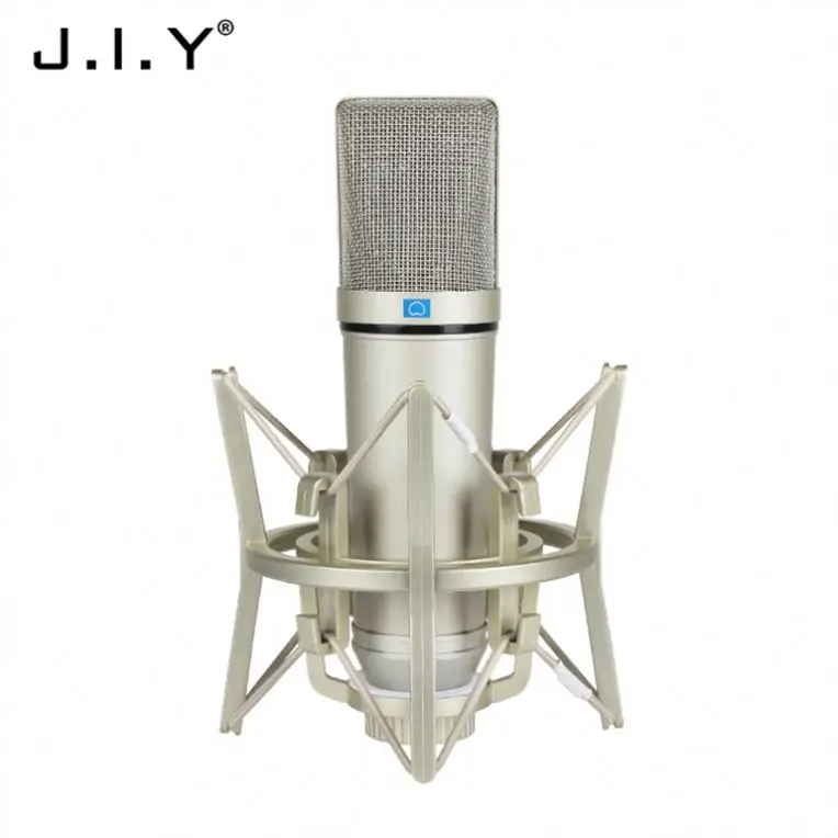 

Best Quality China Manufacturer Professional Microphone Condenser Studio Recording, Champagne