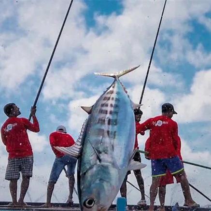 Fiberglass Pure Carbon fiber Tuna fishing rod Vessel (Jack) Lift Pole / fishing rod for tuna, 2.5m, 3.5m, 4.5m, 5m