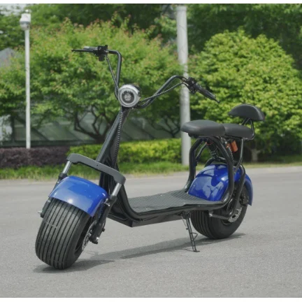 

China Wholesale 1000w 1500w 2000w Fat Tire Motorcycle Electric Scooter Citycoco