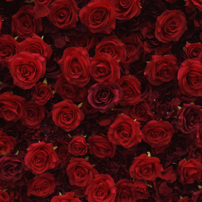 RSH Wedding Backdrop Decoration Artificial Silk Rose Flower Panel  Roll up 5d Red Rose Flower Wall