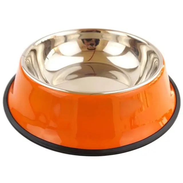 

Raised Stand Food Bowls Stainless Steel Dog Water Bowl