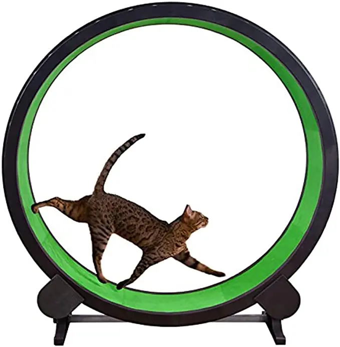 

small order wholesale pet toy style Interactive cat exercise wheel treadmill cat exercise wheel