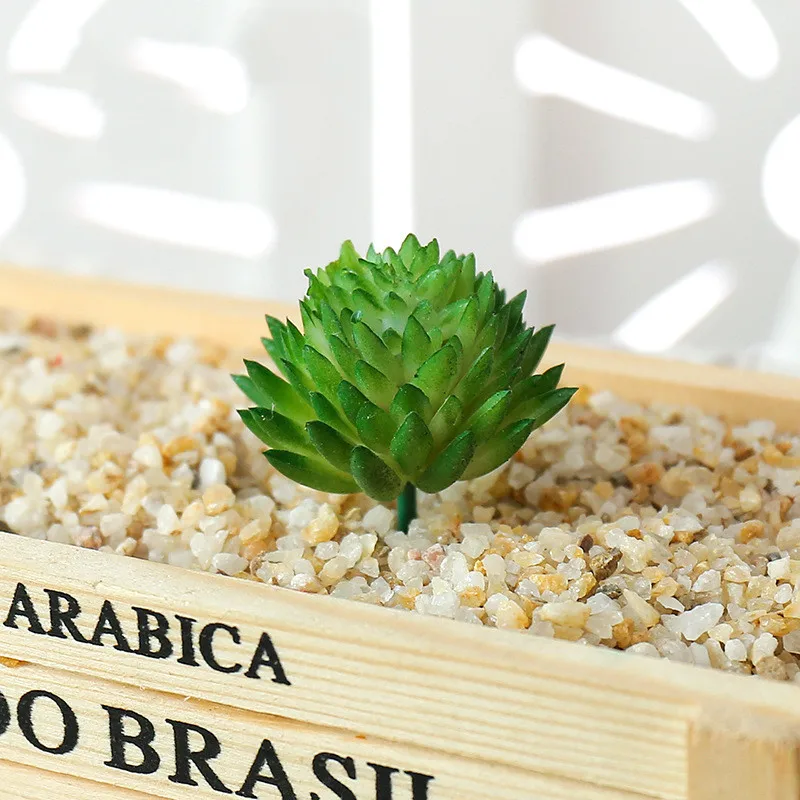 succulents live (11).jpg