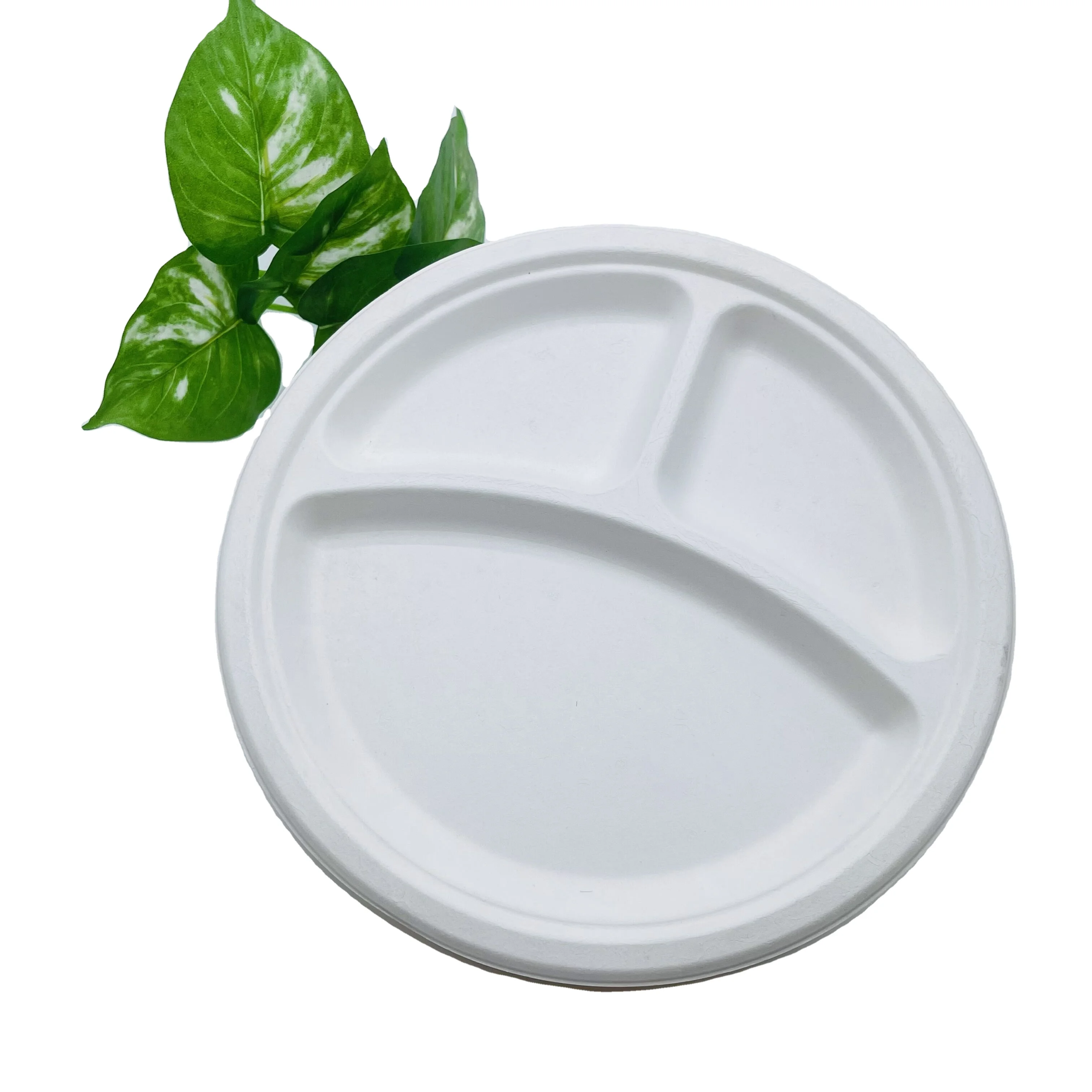 

9 inch Compostable bagasse disposable white round plate sugarcane 3 compartment plates for parties, White or natural