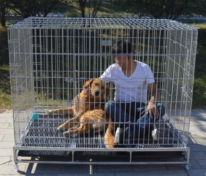 

Wholesale square tube folding large stainless dog cage