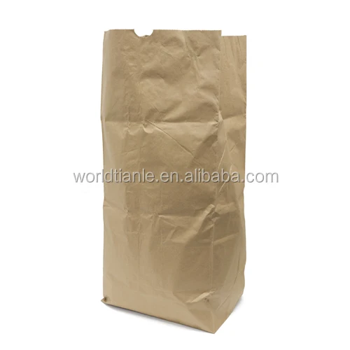 paper lawn and leaf bag.jpg