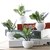 /product-detail/v153-2-hot-sale-artifiaicl-succulents-plants-arrangements-plant-pots-plastic-succulent-62411630689.html