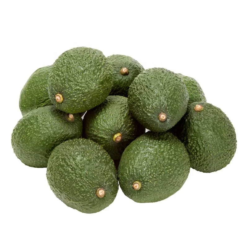 
Mexico Grown Alligator Pear Fresh Avocado Robinson Fresh MOQ 60-70 Count Quick Delivery in US 