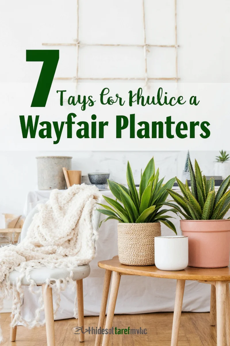 Indoor play area with kid-safe plants in Wayfair pots