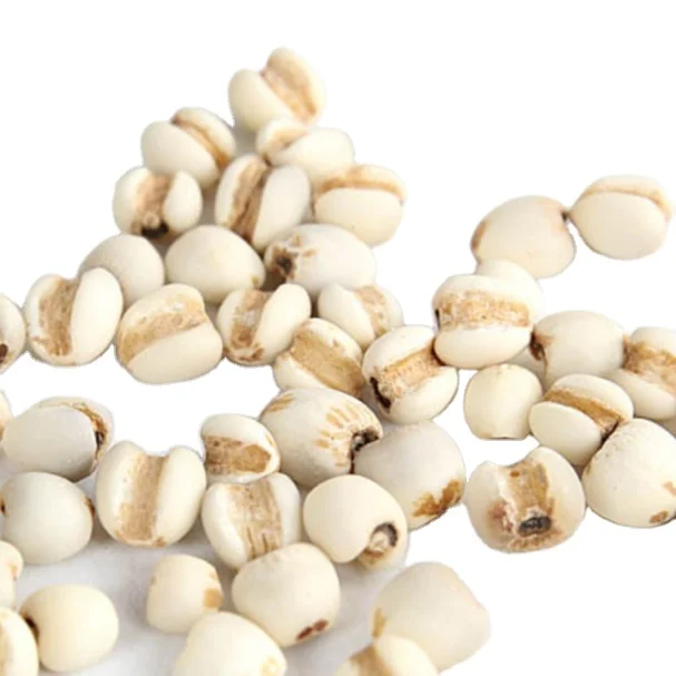 
Hot sale of Chinese medicine health food semen coicis 