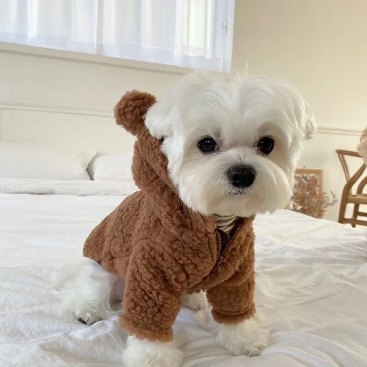 

2021 New Wholesale Luxury Designer Outfits Supplies Apparel Teddy Bear Costume Coat Dog Clothes, Beige, coffee