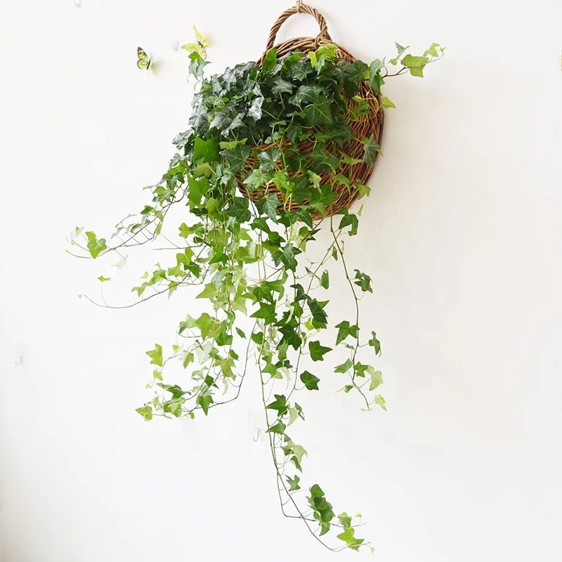 

Rattan Wicker Frame Flower Wall Hanging Basket for Plants, Customized