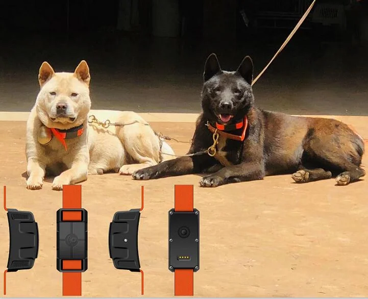 wireless dog fence s9