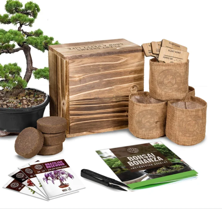 

Bonsai Tree Seed Starter Kit - Mini Bonsai Plant Growing Kit 4 Types of Seeds