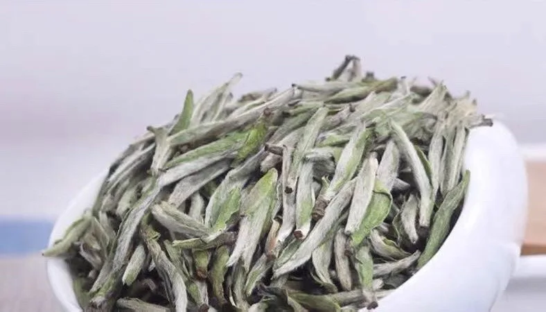 Wholesale white tea Fujian Organic Tea Pekoe - 4uTea | 4uTea.com