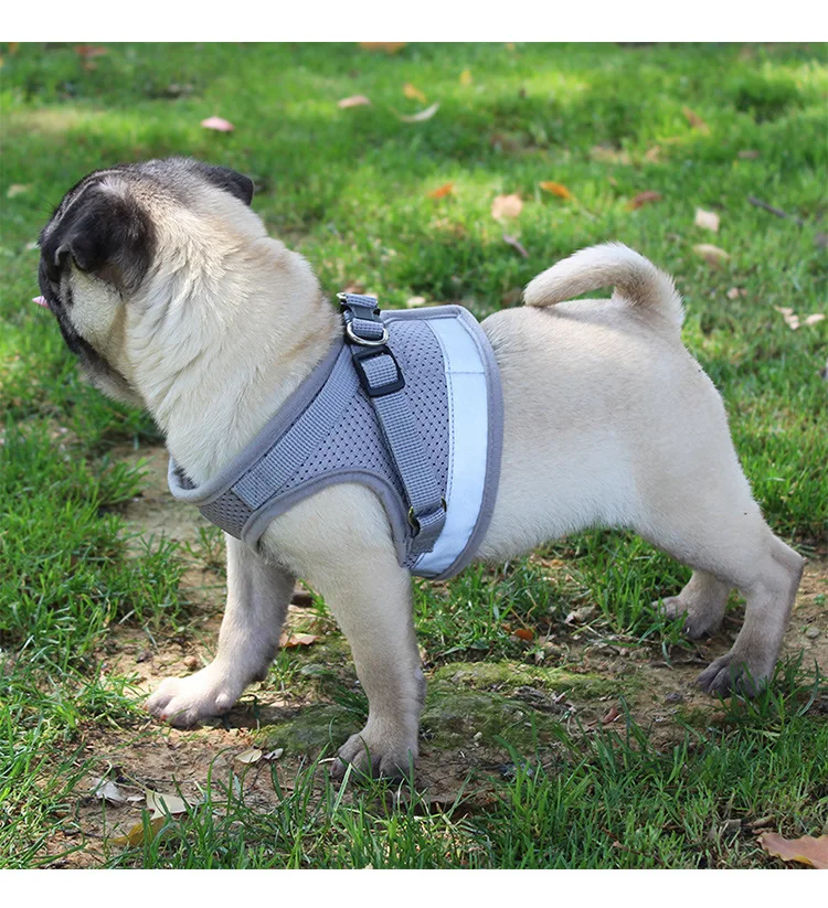 

Dog Harness Cheap All Weather Mesh Step in Vest Harness for Small and Medium Dogs by Best Pet Supplies
