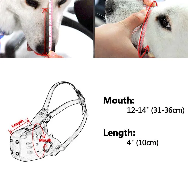 a safe dog muzzle