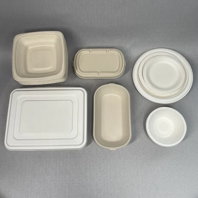 

BioKing Brand new lunch tray disposable bagasse food tray take away paper tray compostable with top quality standard, Bleached;natural