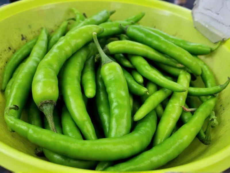 Long Green Spicy Pepper: Identification and Uses