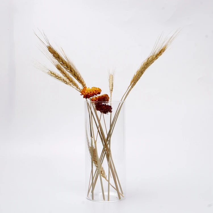 

Tall Cylinder Glass Vase Recycle Glass Glass Flower Vase, Clear