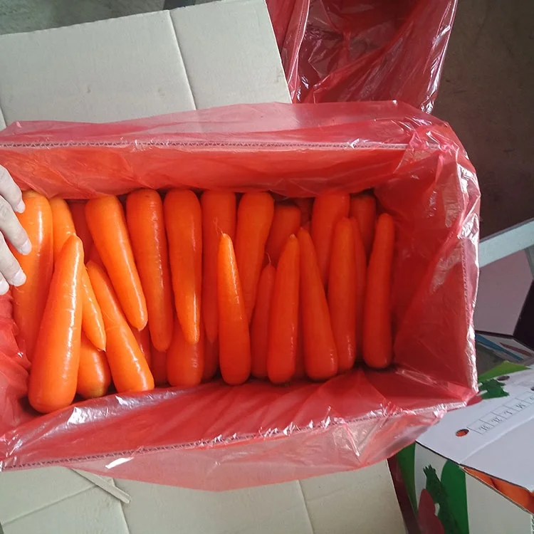 
Fresh wholesale Chinese spot carrots 