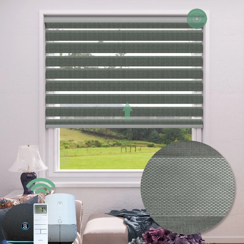 Automatic Gray Motorized Canada Window zebra Dual Roller Blinds Privacy Light Control for Day and Night