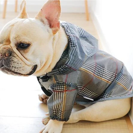 

Pet Clothes Dog Cat Autumn And Winter Sports Dog Clothes