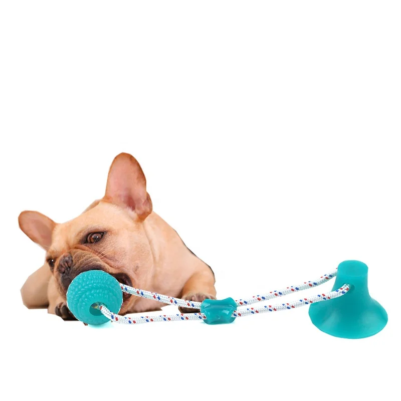 

Manufacture durable dog chew toy with teeth cleaning function,pet molar bite toy with suction cup, As picture