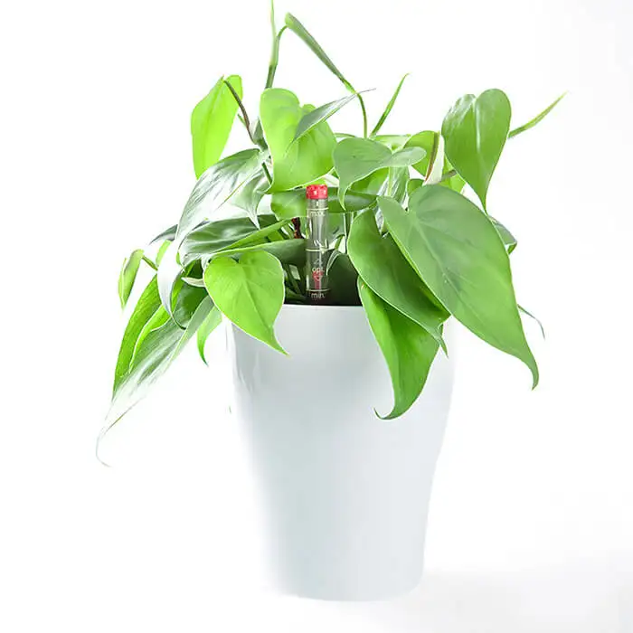

High Quality Round Shape Home Decorative White Plastic Plant Pots Light Weight Colorful Garden Flower Pots Floor Modern