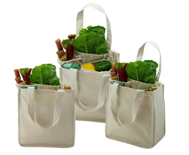 

Simple Ecology Organic Cotton Deluxe Recycled Reusable Grocery Shopping Bag with Bottle Sleeves