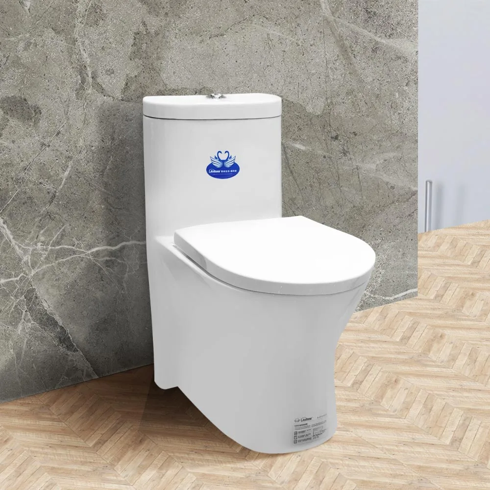 Chao Zhou High Quality One Piece Toilet 36l Dual Flush Toilet Bowl