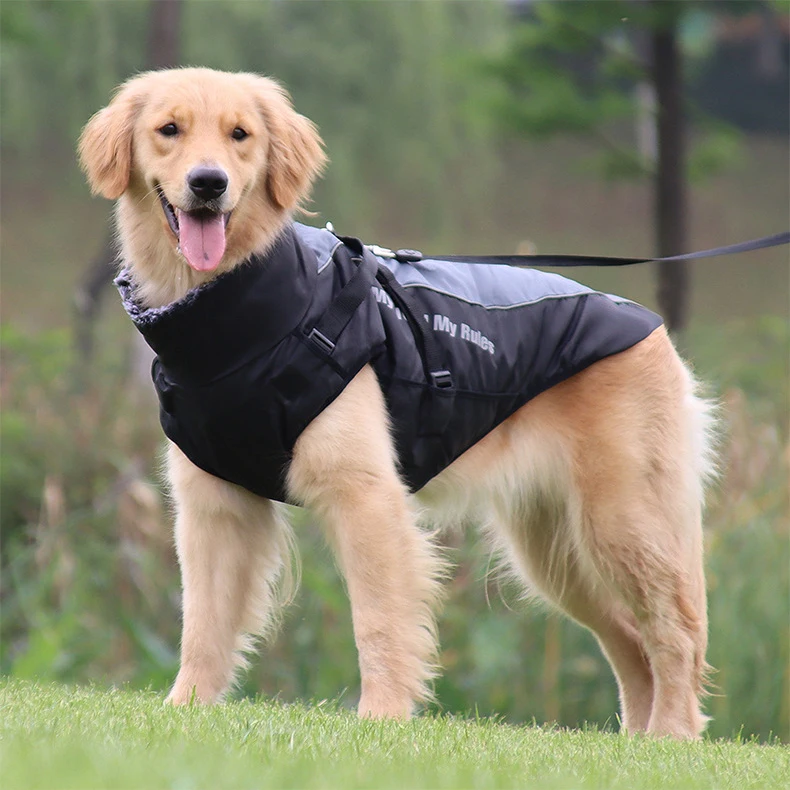 

Windbreaker Pet Coat Clothes Dog Plush Lining Cotton Vest Winter Reflective Dog Clothes With Harness, Picture