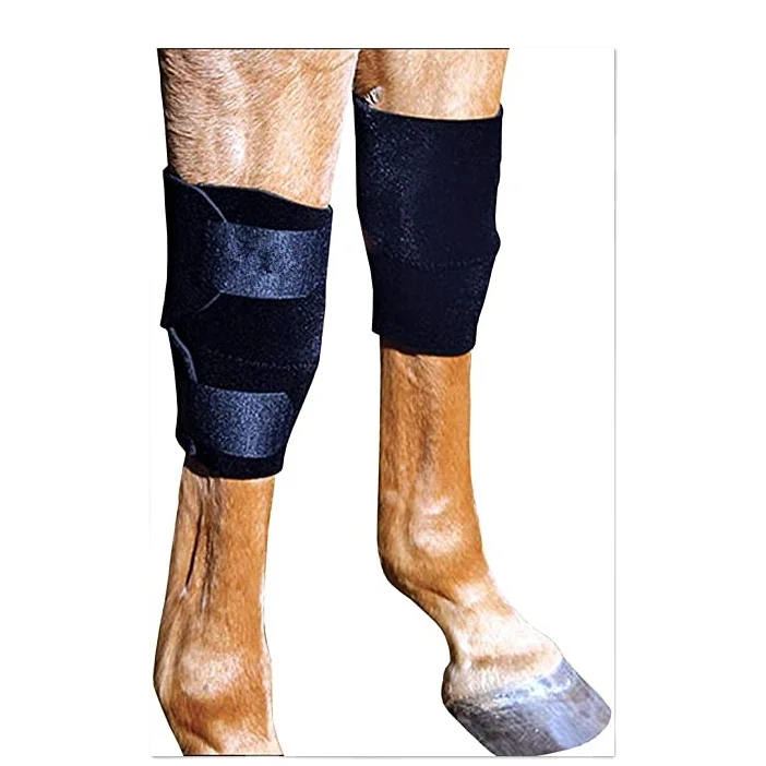 

Equine Knee Boot horse knee boots, Customized