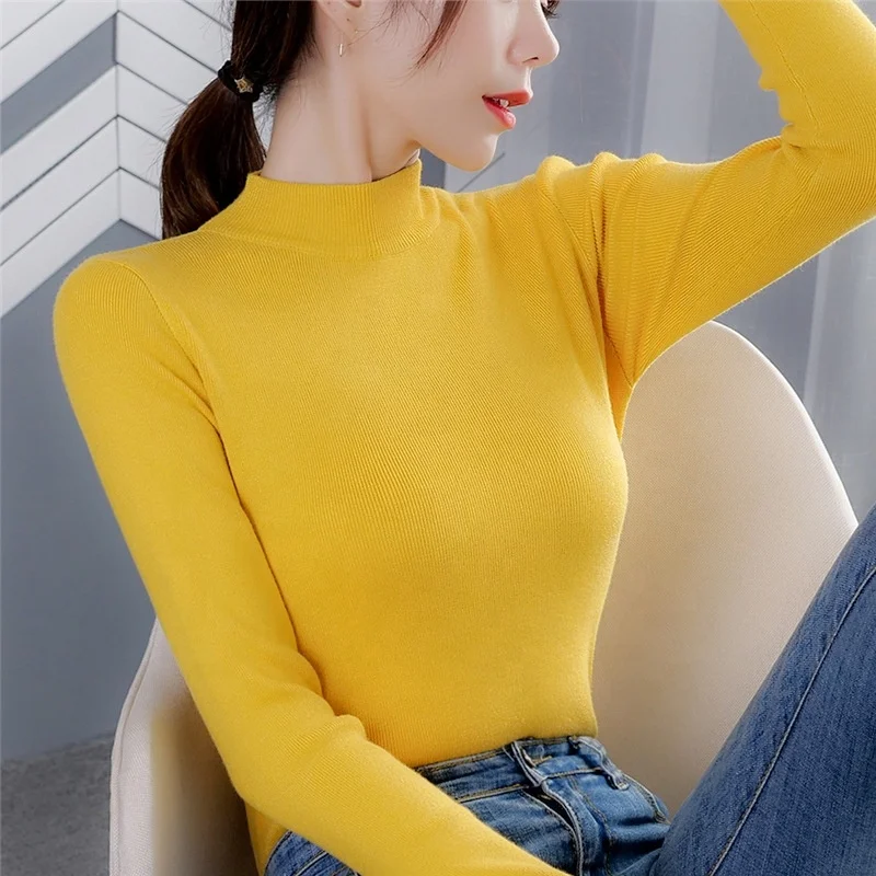 

Custom Autumn Knitted Sweater Female Pullover Turtleneck Sweater Long Sleeve Basic Knitwear Top For Women