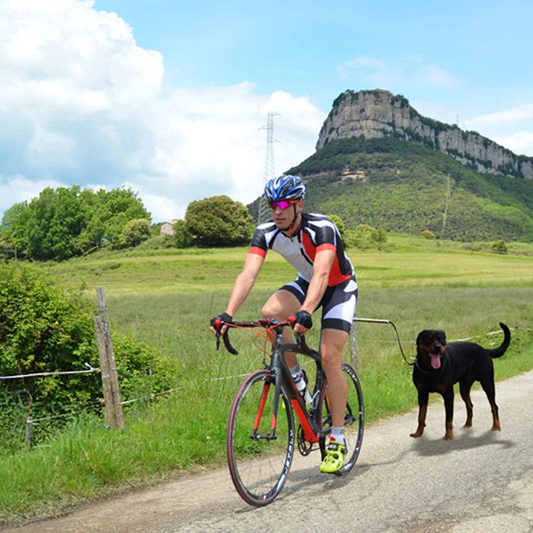 

A Gentle Guide Dog Bike Tow Leash