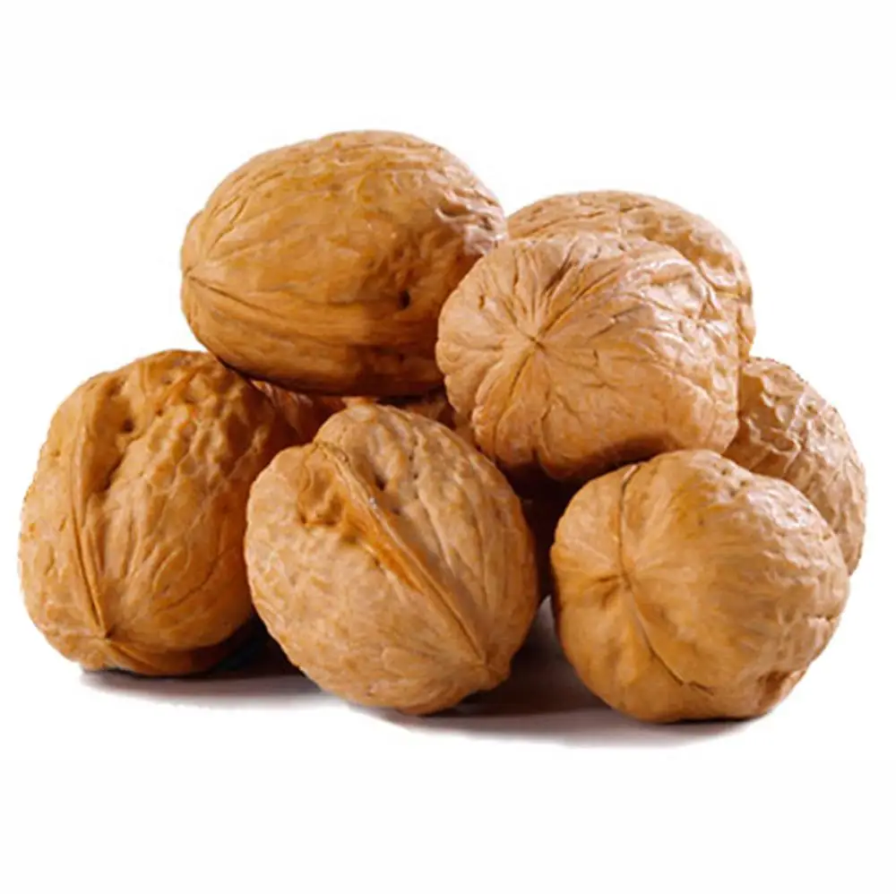 
Shelled walnuts wulnut price walnut 