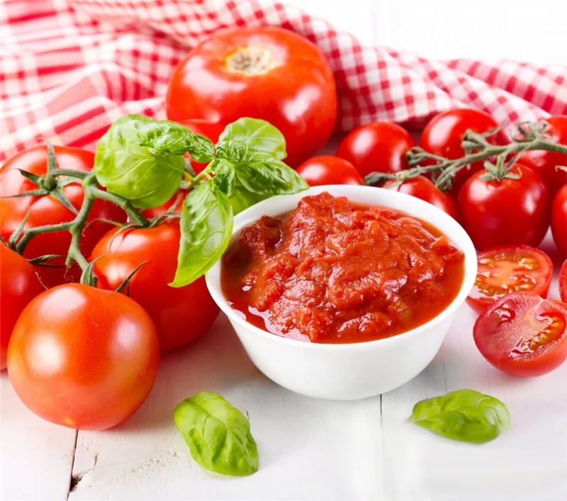 primary ingredient low price of tin canned sweet sour tomato