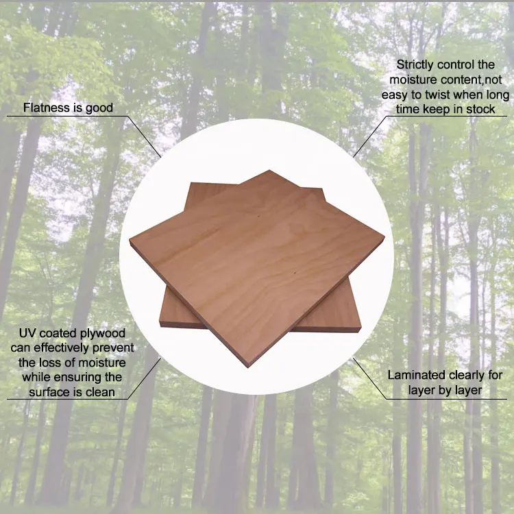 Flat Die Laser Cut Birch Plywood 18*1220*2440mm Buy Plywood,Birch