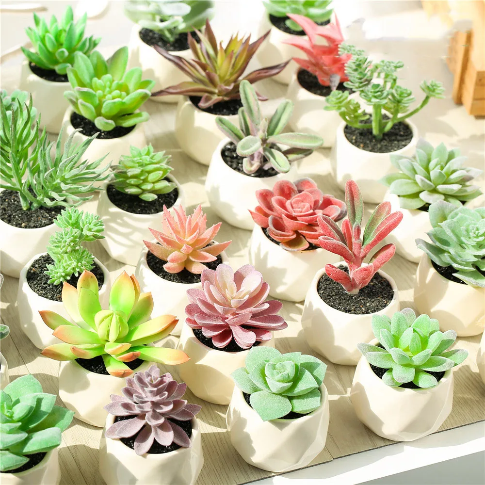 

Wholesale Ceramic Green Home Office Thailand Succulent Plant Pots Mini Artificial Succulents New Artificial Plant In Pot, Customizable