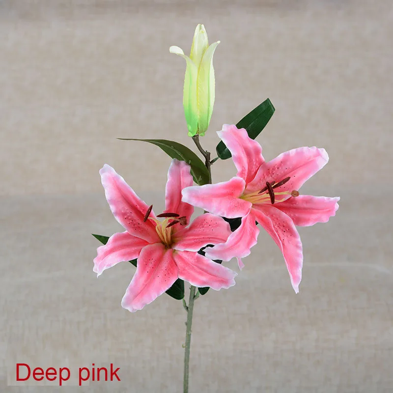 Pabrik Harga Murah Kualitas Tinggi Semua Jenis Bunga Lily Bunga