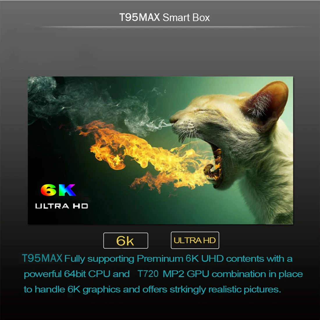 T95max 4+32.jpg