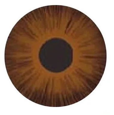 

Eye Natural Color White Cosmetic Contact Lenses