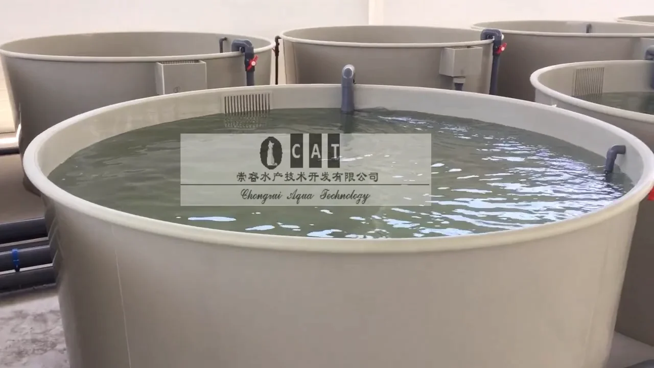 Cataqua Fish Farm Ras Aquaculture Tilapia Pp Fish Tank Farming Pond Plastic Tank Equipment Buy