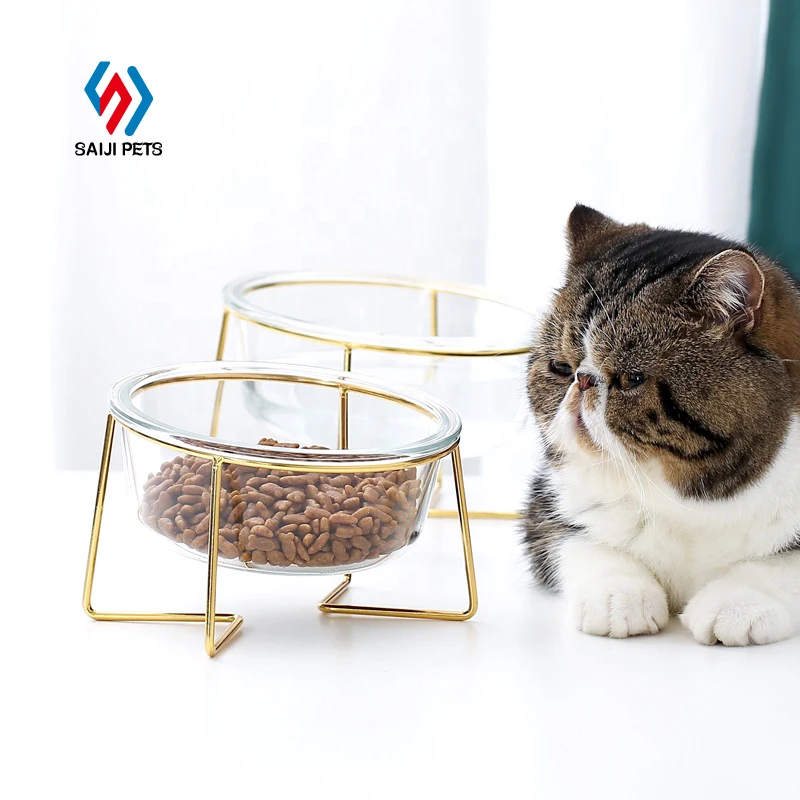 

Saiji new Manufacturing slanting mouth tilting elevated pet cat transparent glass bowl with stainless stand, Glass, customized color